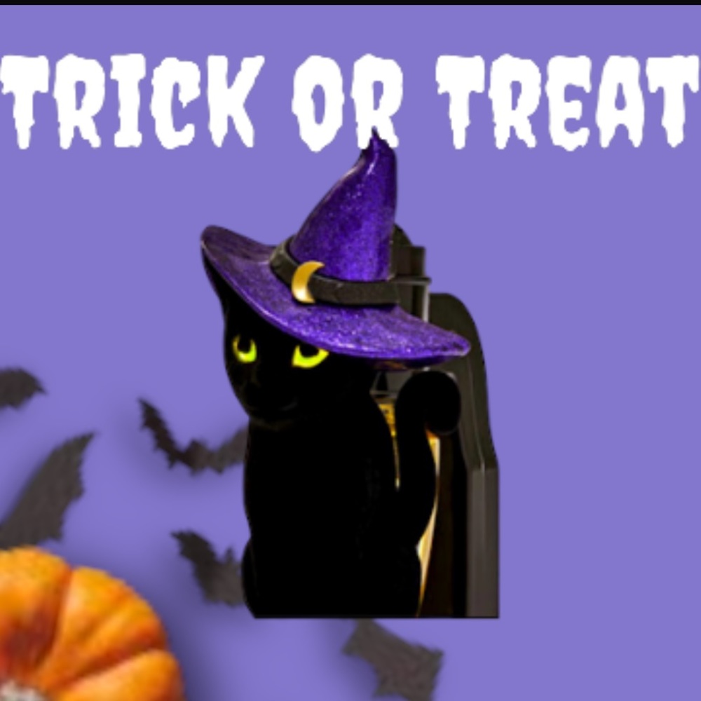 HALLOWEEN WITCH CAT NIGHTLIGHT
Wallflowers Fragrance Plug IN